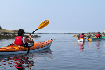 Victoria Oak Bay Shoreline Kayak Tour