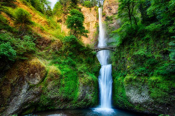 Half-Day Small-Group Columbia Gorge Experience