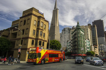 1-Day San Francisco Hop-On Hop-Off Bus, Exploratorium, 7D Experience