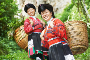 4-Day Private Tour: Experience Guilin, Yangshuo and Rice Terraces from Guangzhou by Bullet Train