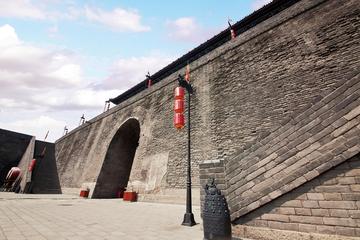 Afternoon Bus Tour of City Wall and Big Wild Goose Pagoda and Muslim Quarter