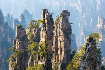 Private Tour: Explore Zhangjiajie National Forest Park