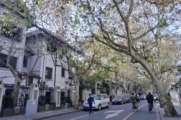 Private Walking Tour: Xintiandi and Hengshan Road in Shanghai