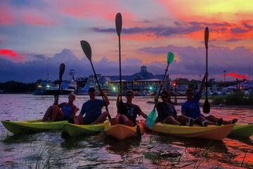 Day Trip Guided Myrtle Beach Kayak Tour near Myrtle Beach, South Carolina 