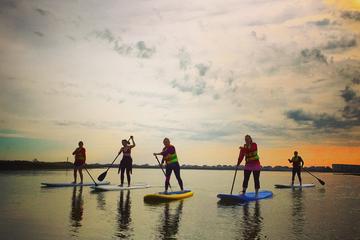 Day Trip Guided Stand-Up Paddleboard Tour near Myrtle Beach, South Carolina 