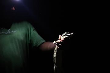 6-Day Jungle Safari Tour