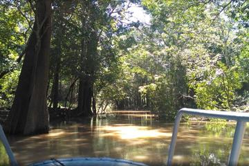 Amazon 4-Day Adventure Tour
