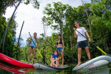 Stand Up Paddling Tour