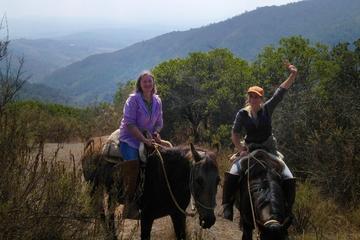 Chilean Precordillera Horseback Ride from Santiago