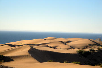 Dunes and Beach Horseback Adventure from Santiago