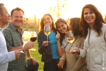 Explore Two Organic Vineyards from Santiago