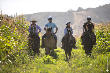 Organic Vineyard Horseback Riding from Santiago