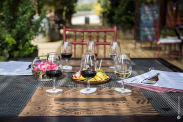 Organic Vineyard Wine Tour with Lunch from Santiago