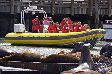 Early Bird 45-Minute Golden Gate Bridge Boat Tour