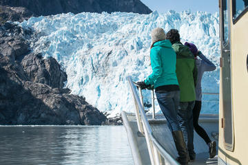 Full-Day Kenai Fjords National Park Adventure Cruise