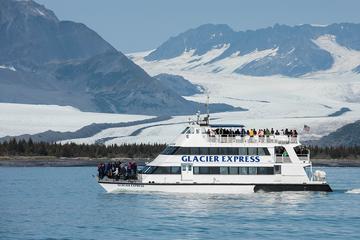 Day Trip Seward Shore Excursion: Full-Day Kenai Fjords National Park Cruise near Seward, Alaska 