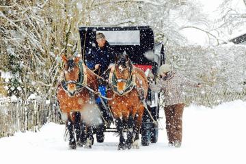Winter Horse Carriage Tour