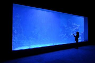 Hurghada Grand Aquarium Entrance Ticket