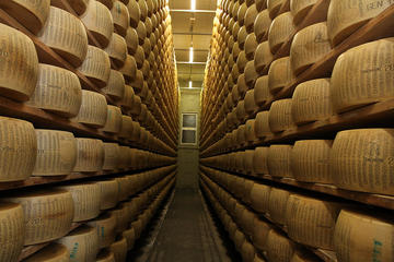 Full-Day Bologna Food Experience from Florence: Parmigiano Reggiano Factory Visit, Balsamic Vinegar, Wine Tasting and Gourmet Lunch