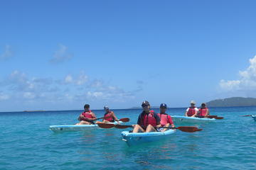 Coral Garden Cay Excursion