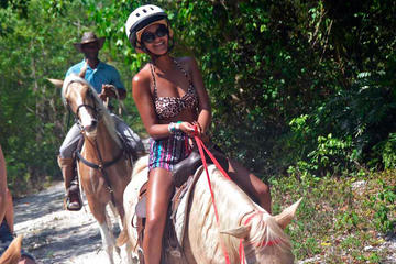 Beach Horseback Riding from Punta Cana