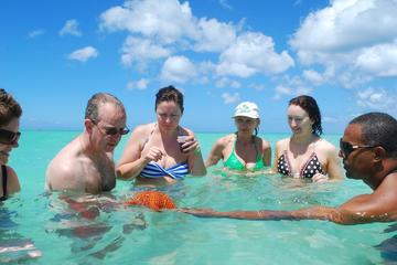Caribbean Oasis Day Trip to Saona Island