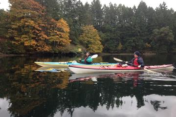 Brentwood Bay Guided Kayak Tours