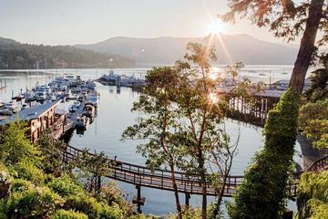 Brentwood Bay Kayak Tour and Restaurant Lunch