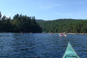 Brentwood Bay Kayak Tour and Wine Tasting