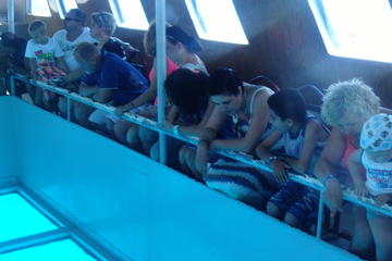 Glass Bottom Boat Sharm el Sheikh