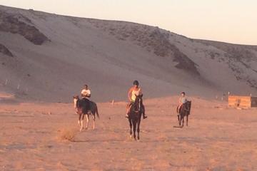 Horse Riding in Sharm el Sheikh