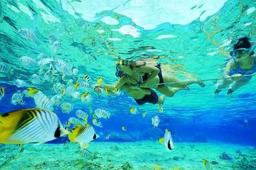 Tiran Island Boat Trip