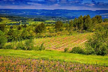1-Day Package: Vineyard Visit, Wine Tasting Experience, Dine and Overnight Stay in Carcassonne