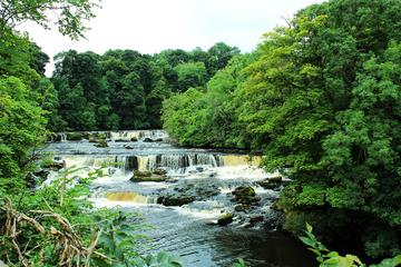 Private Group Yorkshire Dales Day Trip from Harrogate