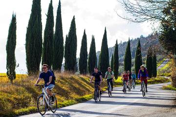 Full-Day Tuscan Countryside Bike Tour