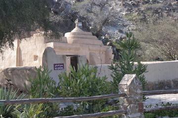 Fujairah and East Coast Tour
