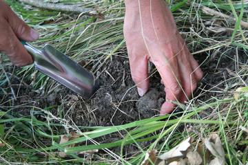 A Day With Locals - Truffle hunt and cooking class in a farm