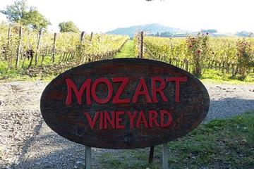 Mozart Vineyard Wine tasting at Paradiso winery near Montalcino