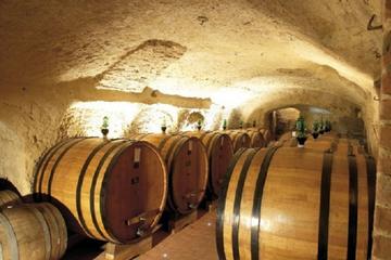 Wine Tasting Experience with lunch in Montepulciano