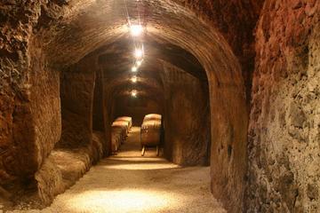 Winery Tour and Tasting of local wine and food