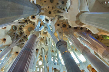 Private Car Highlights Tour of Barcelona for FAMILIES!