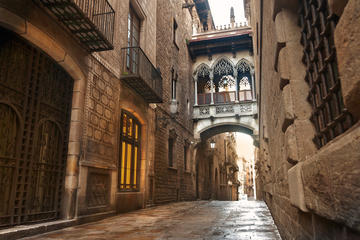 Private Guided Walking Tour of Gothic Quarter in Barcelona