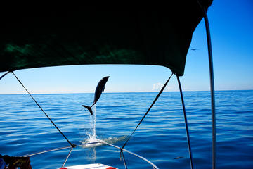 Sea Life Adventure Tour