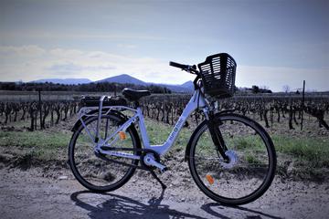 Electric Bike Rental from Vaison la Romaine