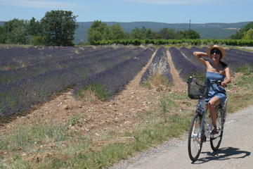 Luberon Electric Bike Rental from Bonnieux