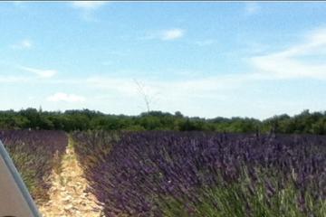 Provence Electric Bike Rental from Saint-Rémy-de-Provence