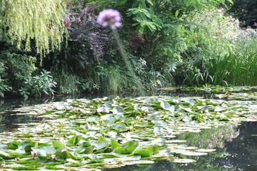 Giverny Roundtrip Transfer from Paris and Skip-the-Line Ticket