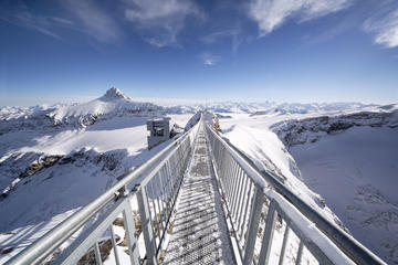 Riviera Col du Pillon & Glacier 3000: High Level Experience Swiss Alps from Lausanne