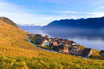 Riviera line To Montreux including Lavaux Unesco trolley tour with optional cruise