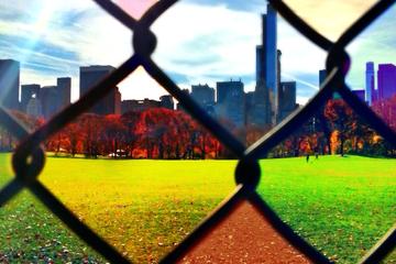 Central Park Photo Tour